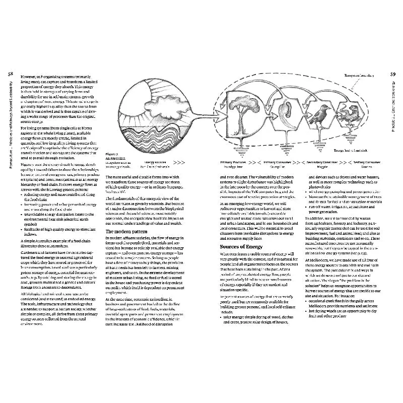 Permaculture: Principles and Pathways Beyond Sustainablity