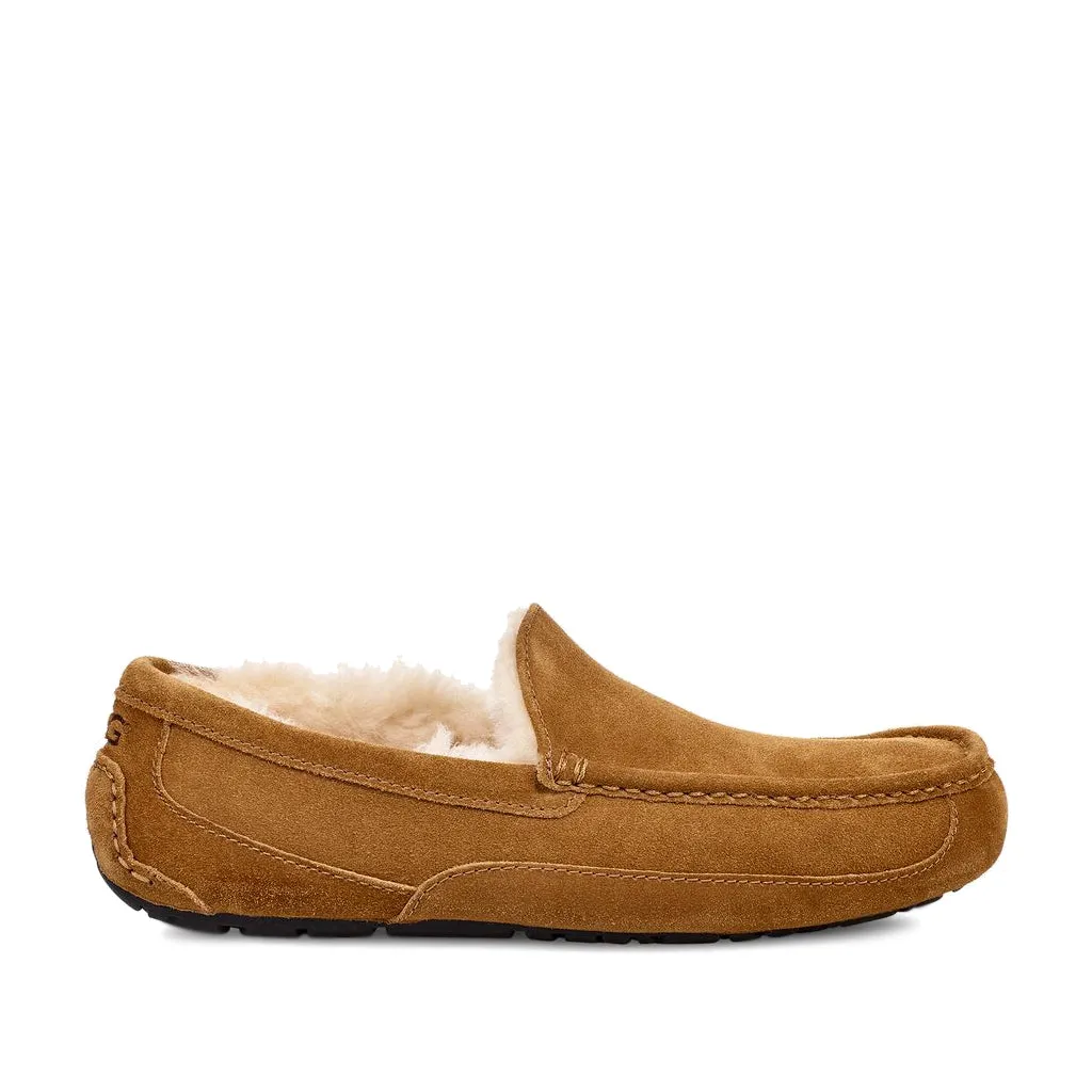 UGG Men's Ascot in Chestnut