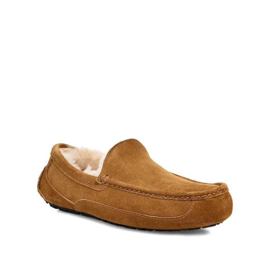 UGG Men's Ascot in Chestnut