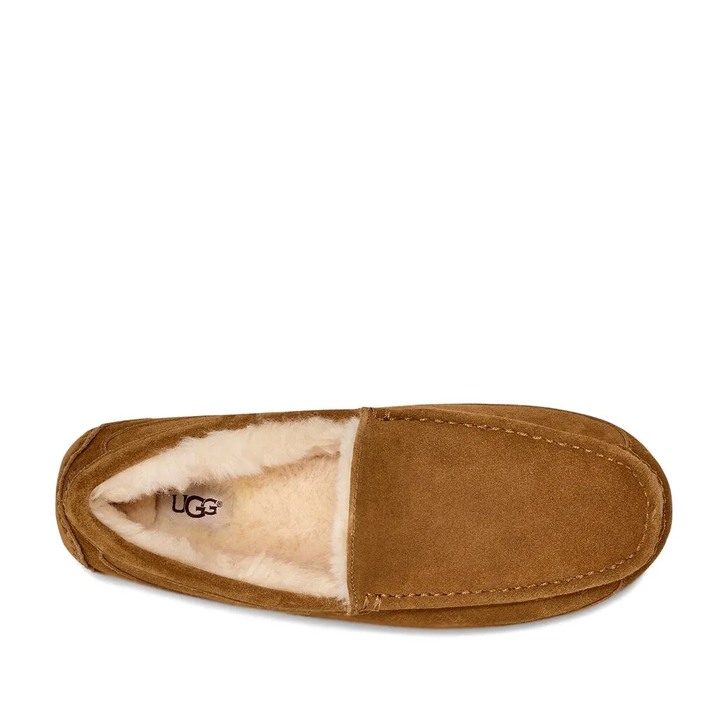 UGG Men's Ascot in Chestnut